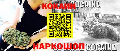 jwh Кандалакша