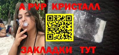 дурь Кингисепп