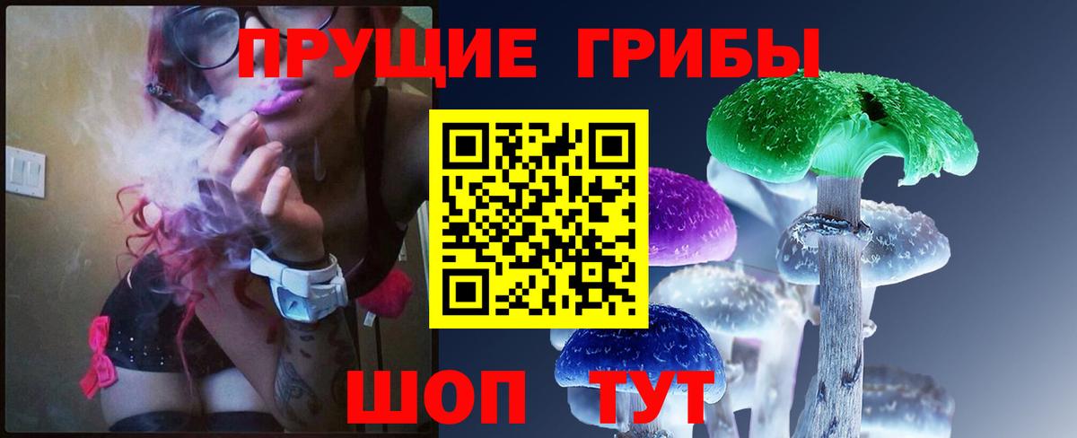 Псилоцибиновые грибы GOLDEN TEACHER Арзамас