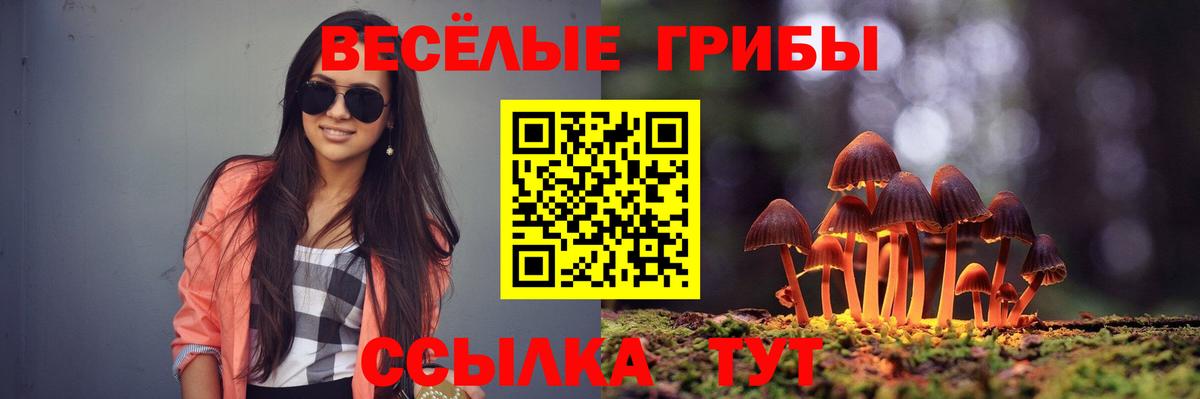 Арзамас  Псилоцибиновые грибы ЛСД  Вход с VPN 
